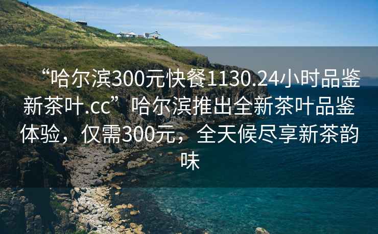 “哈爾濱300元快餐1130.24小時(shí)品鑒新茶葉.cc”哈爾濱推出全新茶葉品鑒體驗，僅需300元，全天候盡享新茶韻味
