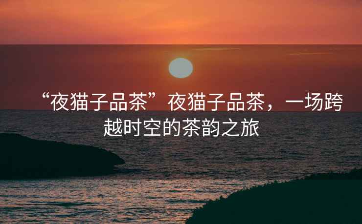 “夜貓子品茶”夜貓子品茶，一場(chǎng)跨越時(shí)空的茶韻之旅
