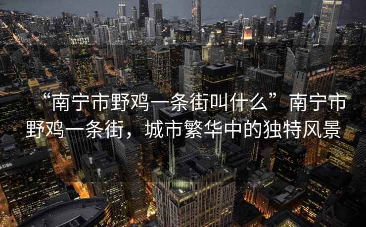 “南寧市野雞一條街叫什么”南寧市野雞一條街，城市繁華中的獨特風(fēng)景