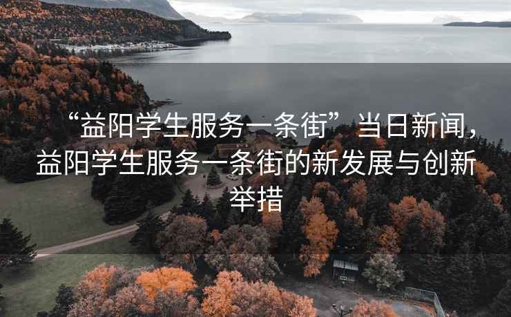 “益陽(yáng)學(xué)生服務(wù)一條街”當日新聞，益陽(yáng)學(xué)生服務(wù)一條街的新發(fā)展與創(chuàng  )新舉措