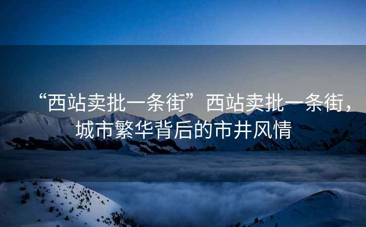 “西站賣(mài)批一條街”西站賣(mài)批一條街，城市繁華背后的市井風(fēng)情