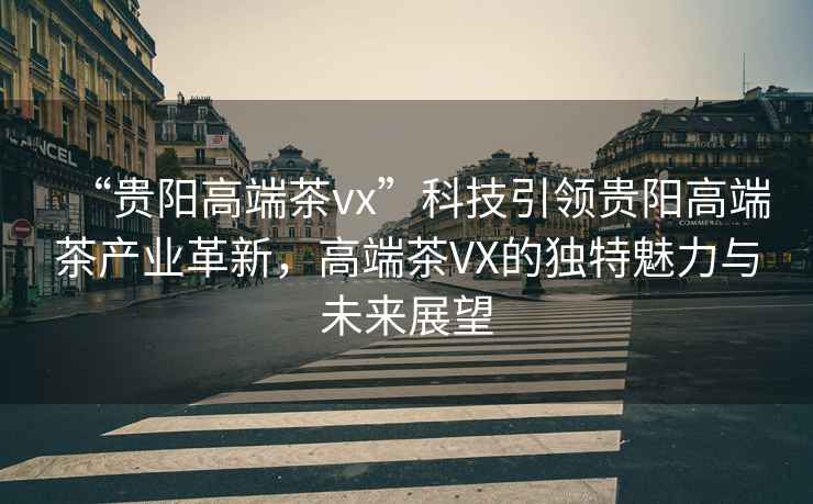 “貴陽(yáng)高端茶vx”科技引領(lǐng)貴陽(yáng)高端茶產(chǎn)業(yè)革新，高端茶VX的獨特魅力與未來(lái)展望