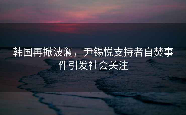 韓國再掀波瀾，尹錫悅支持者自焚事件引發(fā)社會(huì )關(guān)注