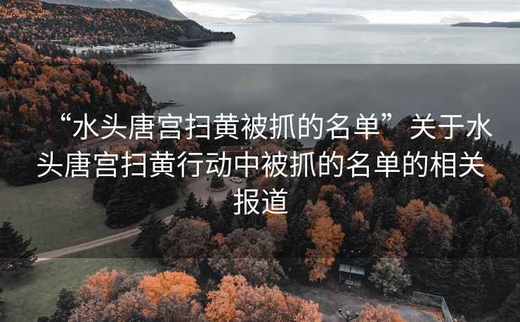 “水頭唐宮掃黃被抓的名單”關(guān)于水頭唐宮掃黃行動(dòng)中被抓的名單的相關(guān)報道