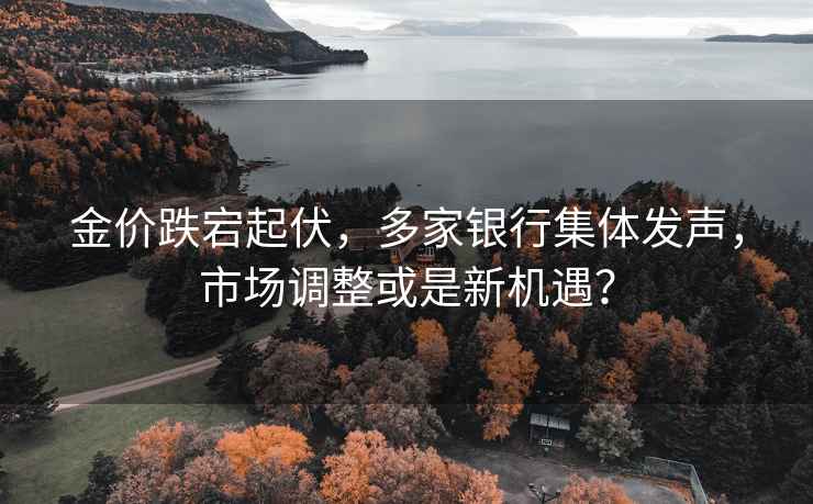 金價(jià)跌宕起伏，多家銀行集體發(fā)聲，市場(chǎng)調整或是新機遇？