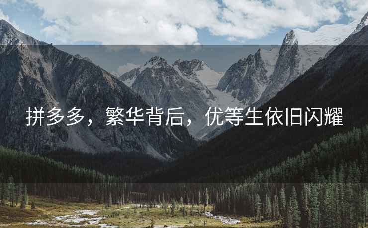拼多多，繁華背后，優(yōu)等生依舊閃耀