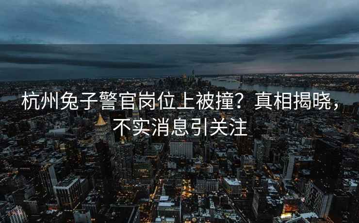 杭州兔子警官崗位上被撞？真相揭曉，不實(shí)消息引關(guān)注