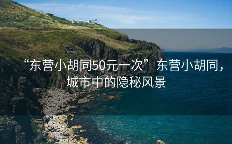 “東營(yíng)小胡同50元一次”東營(yíng)小胡同，城市中的隱秘風(fēng)景