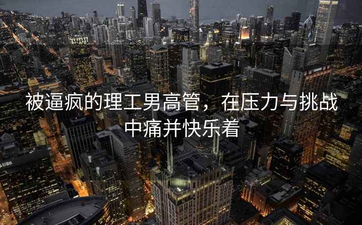 被逼瘋的理工男高管，在壓力與挑戰中痛并快樂(lè )著(zhù)