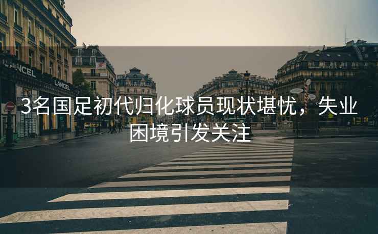 3名國足初代歸化球員現狀堪憂(yōu)，失業(yè)困境引發(fā)關(guān)注