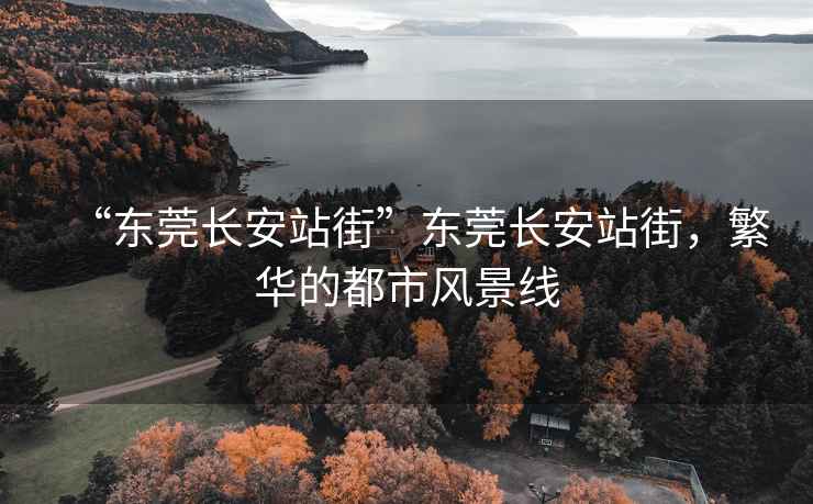 “東莞長(cháng)安站街”東莞長(cháng)安站街，繁華的都市風(fēng)景線(xiàn)