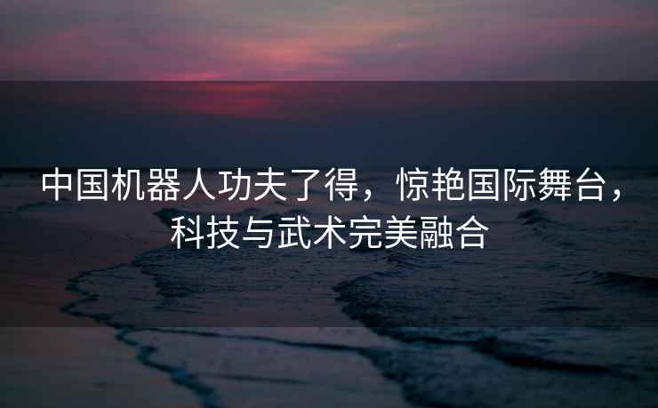 中國機器人功夫了得，驚艷國際舞臺，科技與武術(shù)完美融合