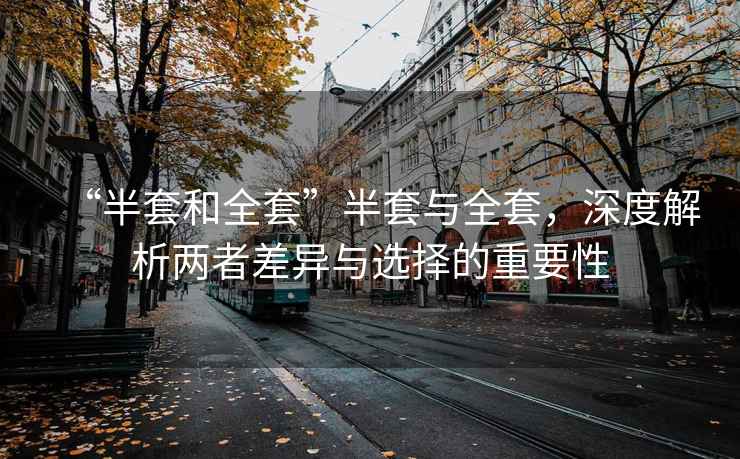 “半套和全套”半套與全套，深度解析兩者差異與選擇的重要性