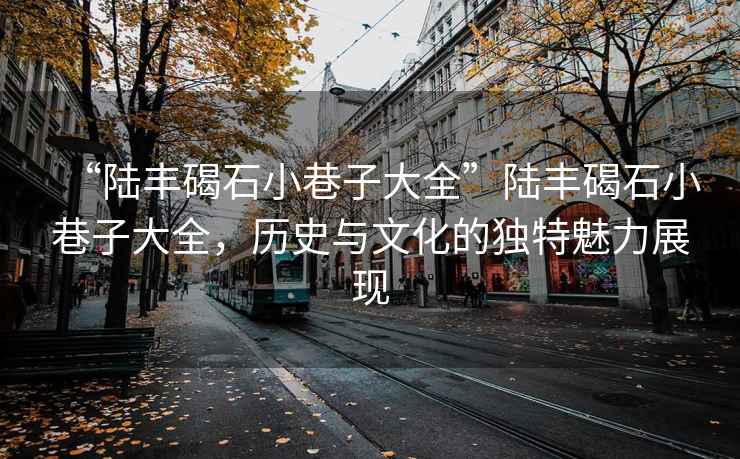 “陸豐碣石小巷子大全”陸豐碣石小巷子大全，歷史與文化的獨特魅力展現