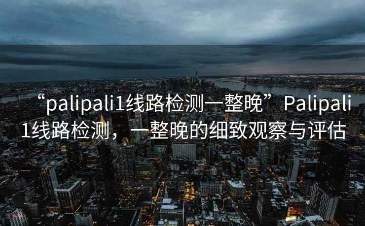 “palipali1線(xiàn)路檢測一整晚”P(pán)alipali1線(xiàn)路檢測，一整晚的細致觀(guān)察與評估