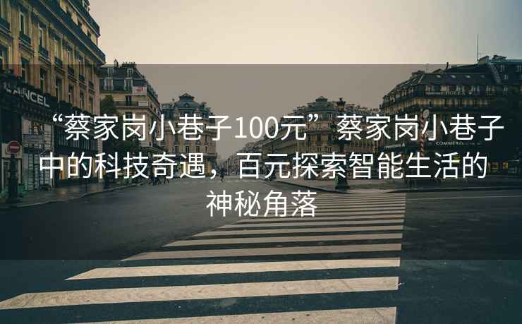 “蔡家崗小巷子100元”蔡家崗小巷子中的科技奇遇，百元探索智能生活的神秘角落