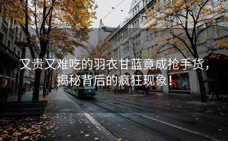 又貴又難吃的羽衣甘藍竟成搶手貨，揭秘背后的瘋狂現象！