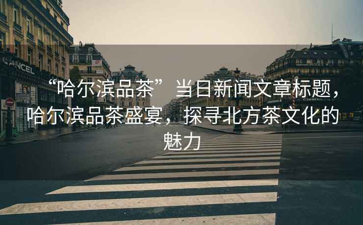 “哈爾濱品茶”當日新聞文章標題，哈爾濱品茶盛宴，探尋北方茶文化的魅力