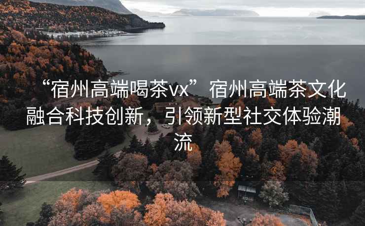 “宿州高端喝茶vx”宿州高端茶文化融合科技創(chuàng  )新，引領(lǐng)新型社交體驗潮流