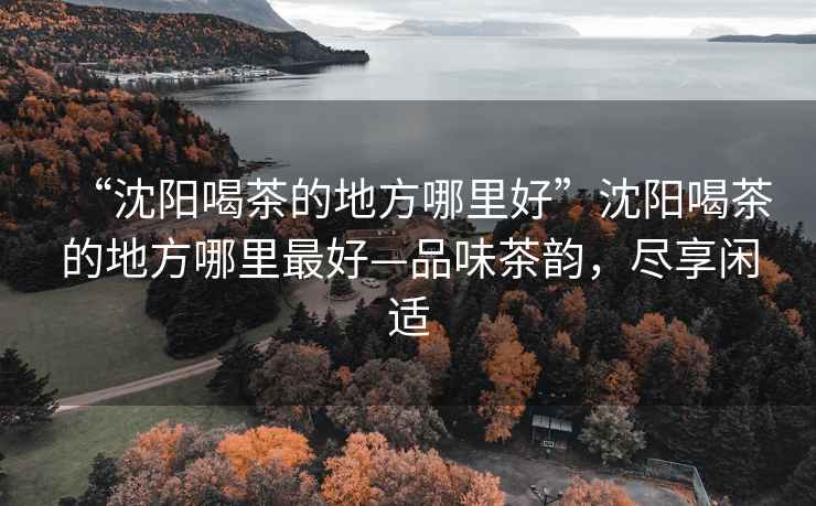 “沈陽(yáng)喝茶的地方哪里好”沈陽(yáng)喝茶的地方哪里最好—品味茶韻，盡享閑適