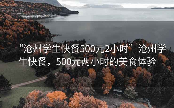 “滄州學(xué)生快餐500元2小時(shí)”滄州學(xué)生快餐，500元兩小時(shí)的美食體驗