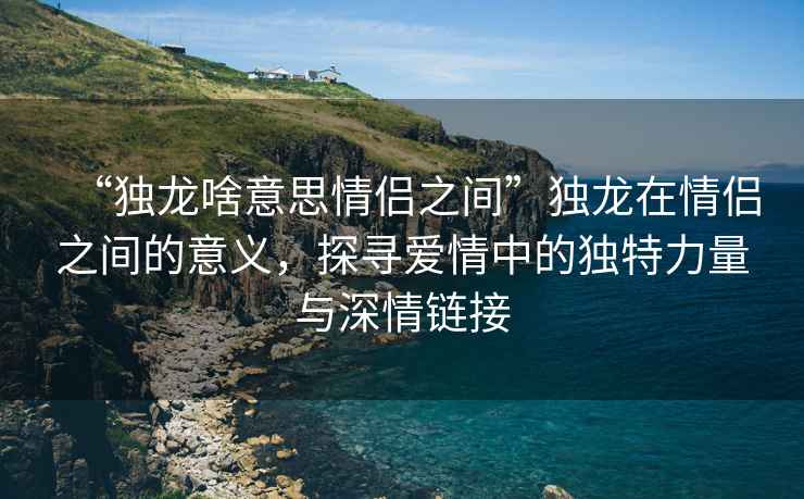 “獨龍啥意思情侶之間”獨龍在情侶之間的意義，探尋愛(ài)情中的獨特力量與深情鏈接