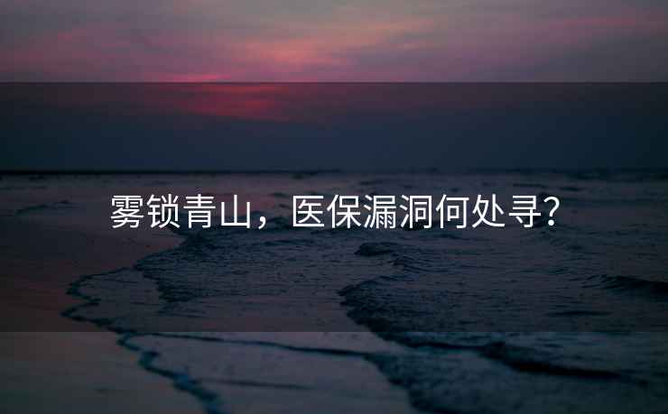 霧鎖青山，醫保漏洞何處尋？