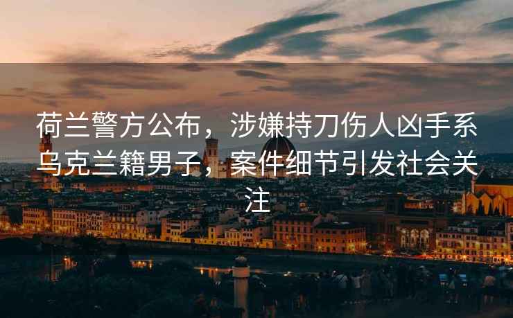 荷蘭警方公布，涉嫌持刀傷人兇手系烏克蘭籍男子，案件細節引發(fā)社會(huì )關(guān)注