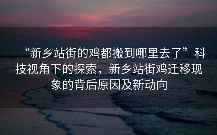 “新鄉站街的雞都搬到哪里去了”科技視角下的探索，新鄉站街雞遷移現象的背后原因及新動(dòng)向