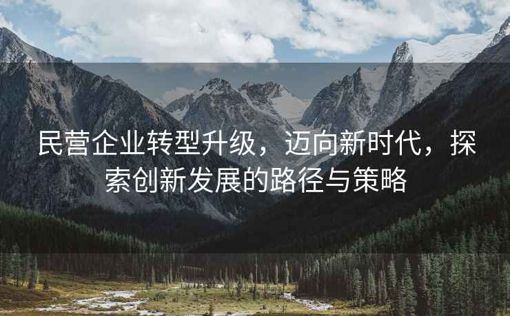 民營(yíng)企業(yè)轉型升級，邁向新時(shí)代，探索創(chuàng  )新發(fā)展的路徑與策略