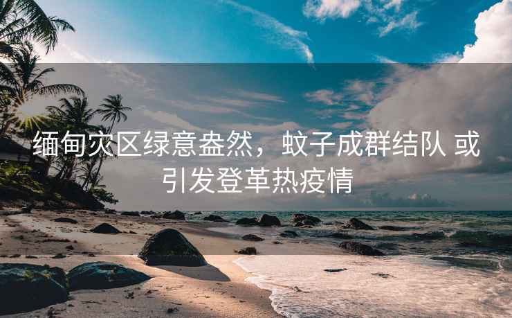 緬甸災區綠意盎然，蚊子成群結隊 或引發(fā)登革熱疫情