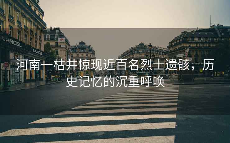 河南一枯井驚現近百名烈士遺骸，歷史記憶的沉重呼喚