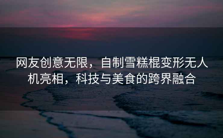 網(wǎng)友創(chuàng  )意無(wú)限，自制雪糕棍變形無(wú)人機亮相，科技與美食的跨界融合