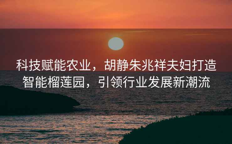 科技賦能農業(yè)，胡靜朱兆祥夫婦打造智能榴蓮園，引領(lǐng)行業(yè)發(fā)展新潮流