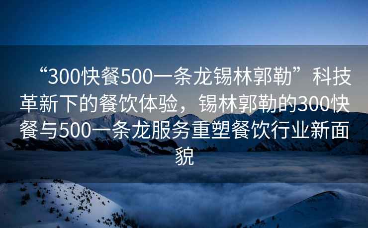 “300快餐500一條龍錫林郭勒”科技革新下的餐飲體驗，錫林郭勒的300快餐與500一條龍服務(wù)重塑餐飲行業(yè)新面貌