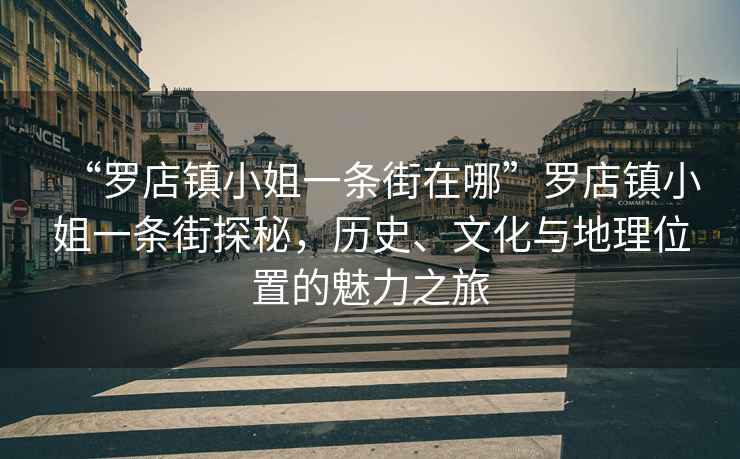 “羅店鎮小姐一條街在哪”羅店鎮小姐一條街探秘，歷史、文化與地理位置的魅力之旅