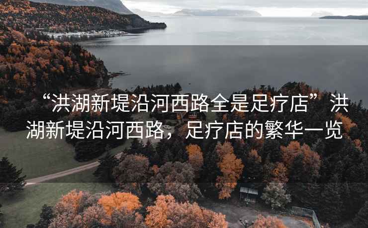 “洪湖新堤沿河西路全是足療店”洪湖新堤沿河西路，足療店的繁華一覽
