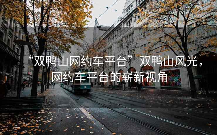 “雙鴨山網(wǎng)約車(chē)平臺”雙鴨山風(fēng)光，網(wǎng)約車(chē)平臺的嶄新視角