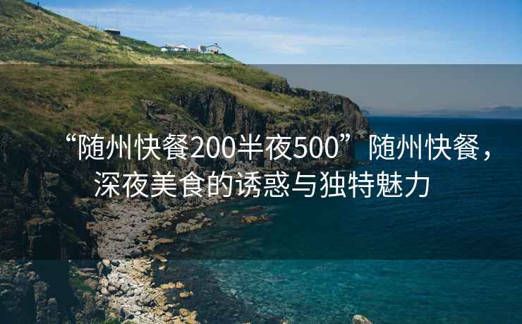 “隨州快餐200半夜500”隨州快餐，深夜美食的誘惑與獨特魅力