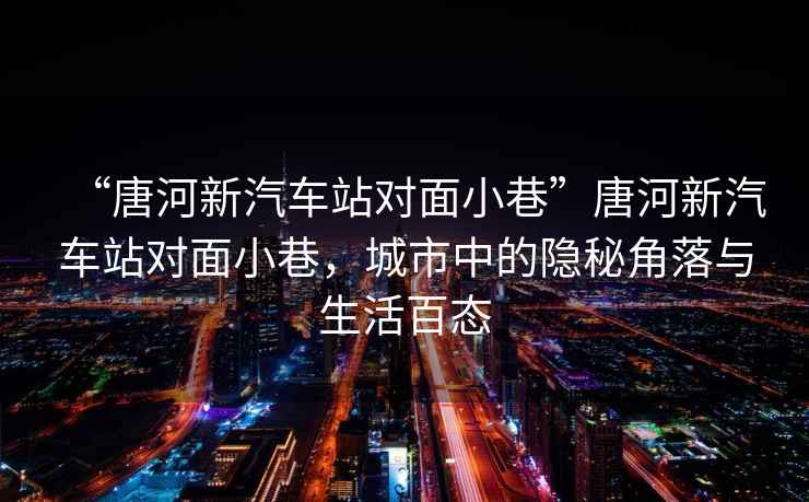 “唐河新汽車(chē)站對面小巷”唐河新汽車(chē)站對面小巷，城市中的隱秘角落與生活百態(tài)