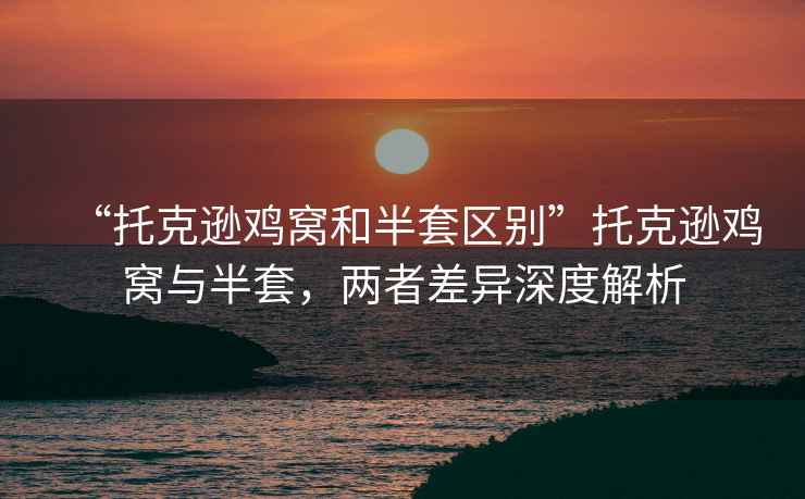 “托克遜雞窩和半套區別”托克遜雞窩與半套，兩者差異深度解析