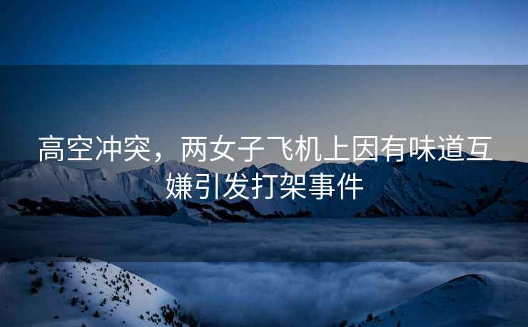 高空沖突，兩女子飛機上因有味道互嫌引發(fā)打架事件