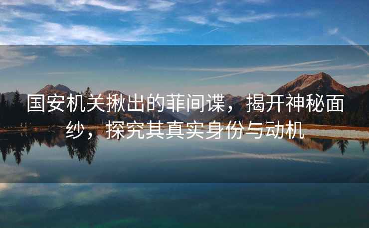 國安機關(guān)揪出的菲間諜，揭開(kāi)神秘面紗，探究其真實(shí)身份與動(dòng)機