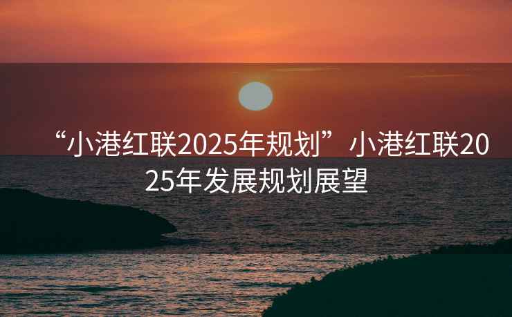 “小港紅聯(lián)2025年規劃”小港紅聯(lián)2025年發(fā)展規劃展望