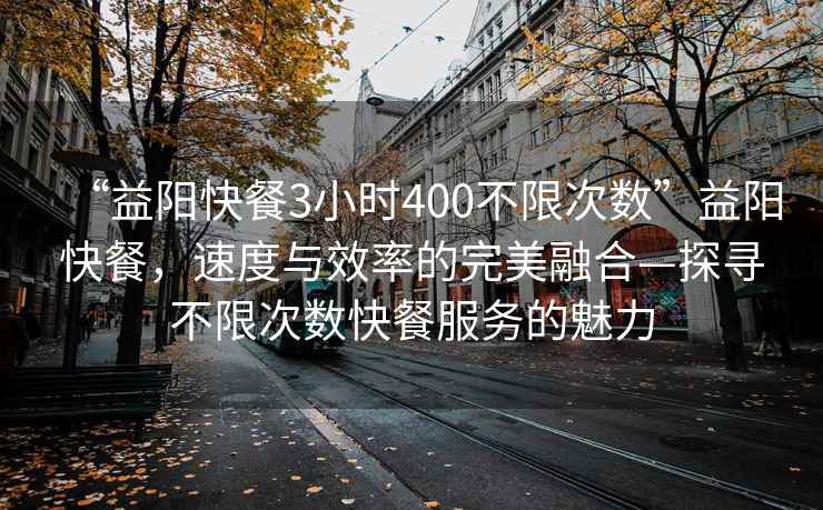 “益陽(yáng)快餐3小時(shí)400不限次數”益陽(yáng)快餐，速度與效率的完美融合—探尋不限次數快餐服務(wù)的魅力