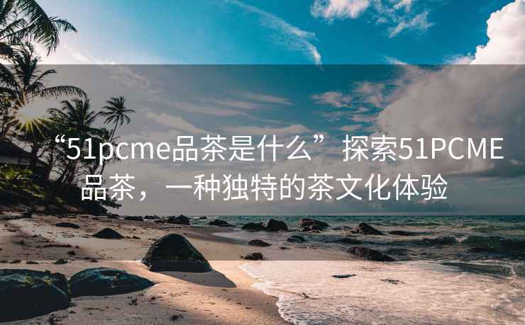 “51pcme品茶是什么”探索51PCME品茶，一種獨特的茶文化體驗