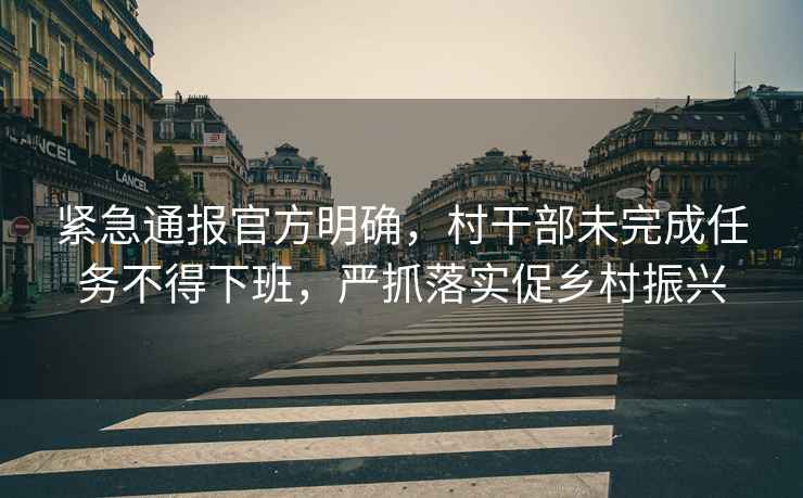 緊急通報官方明確，村干部未完成任務(wù)不得下班，嚴抓落實(shí)促鄉村振興