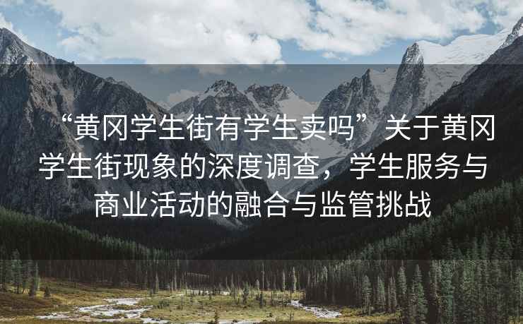 “黃岡學(xué)生街有學(xué)生賣(mài)嗎”關(guān)于黃岡學(xué)生街現象的深度調查，學(xué)生服務(wù)與商業(yè)活動(dòng)的融合與監管挑戰