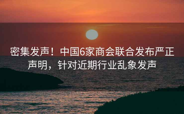 密集發(fā)聲！中國6家商會(huì )聯(lián)合發(fā)布嚴正聲明，針對近期行業(yè)亂象發(fā)聲