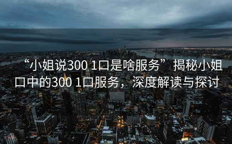 “小姐說(shuō)300 1口是啥服務(wù)”揭秘小姐口中的300 1口服務(wù)，深度解讀與探討